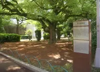 大阪城の写真・動画_image_73672