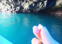 矢越クルーズ(矢越海岸アドベンチャーズのりば)の写真・動画_image_73699