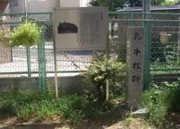 大隅神社の写真・動画_image_74243