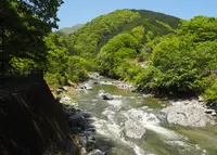 ぶなの湯の写真・動画_image_75576