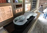 長谷寺の写真・動画_image_76084