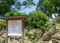 安土城跡の写真・動画_image_76233