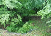 下鴨神社（賀茂御祖神社）の写真・動画_image_76547