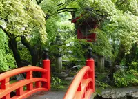 来振寺の写真・動画_image_76710