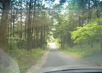 明星輪寺の写真・動画_image_76780