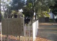 戎公園の写真・動画_image_77113