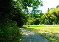 本行寺の写真・動画_image_78345