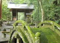 武芸八幡宮の写真・動画_image_78637