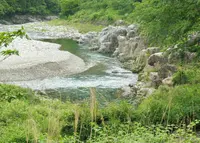 モネの池（名もなき池）の写真・動画_image_78640