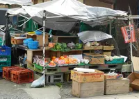 中山道御嵩宿商家竹屋の写真・動画_image_78676