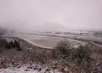 川口米の写真・動画_image_79286