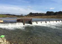 川口米の写真・動画_image_79287