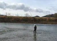 川口米の写真・動画_image_79289