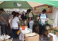 代々木公園イベント広場の写真・動画_image_79703