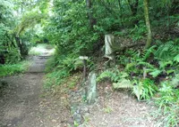 安桜山公園の写真・動画_image_79822