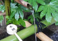 長建寺の写真・動画_image_83440