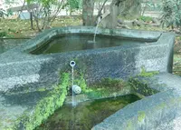 功山寺の写真・動画_image_89615
