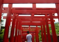 元乃隅神社の写真・動画_image_89648