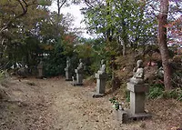 満明寺の写真・動画_image_92745