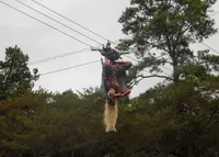 辻川山公園の写真・動画_image_96817