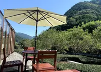 池川茶園 工房 Cafeの写真・動画_image_1005648
