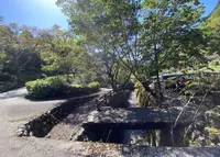 太郎川公園の写真・動画_image_1010678