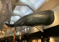 キラメッセ室戸 鯨館の写真・動画_image_1012080