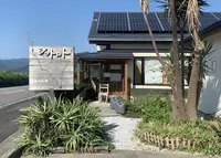 紅茶・カリ― シットロトの写真・動画_image_1015024