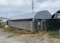 岸井うどんの写真・動画_image_1054488