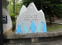 台北市立動物園企鵝館の写真・動画_image_1137261