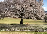 松川村・安曇野ちひろ公園の写真・動画_image_1157962