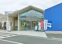 UMIKARAの写真・動画_image_1177714