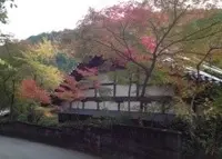 吟松寺の写真・動画_image_123716