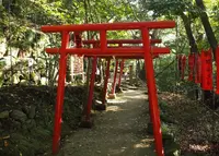 狸福神社の写真・動画_image_127139