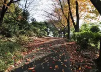 野口公園の写真・動画_image_127971