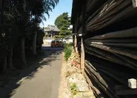 再び路地に突入しますの写真・動画_image_127983