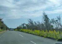 房総フラワーラインの写真・動画_image_128211