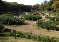 うらやの写真・動画_image_128326