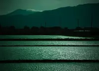 伊吹山の写真・動画_image_128519