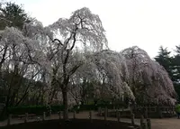 じゅんさい池公園の写真・動画_image_130117