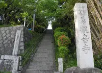 観音寺の写真・動画_image_131137