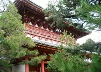 龍寶山　大徳寺の写真・動画_image_131281
