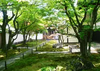 黄梅院の写真・動画_image_131285