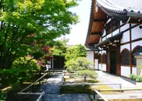 興臨院の写真・動画_image_131301