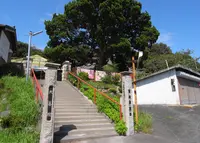 補陀落山 大善院の写真・動画_image_131541