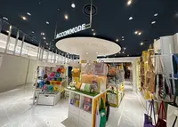 ACCOMMODEの写真・動画_image_1316967