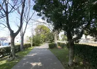 三津屋川の写真・動画_image_131869