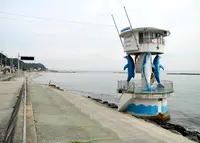 山海海水浴場の写真・動画_image_131965