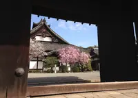 妙法院の写真・動画_image_132384