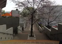 NACK5スタジアム大宮の写真・動画_image_132453